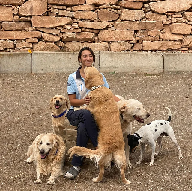 Perro